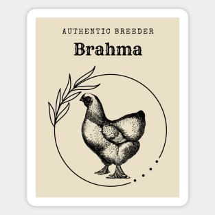 Authentic Breeder Brahma Chicken Magnet